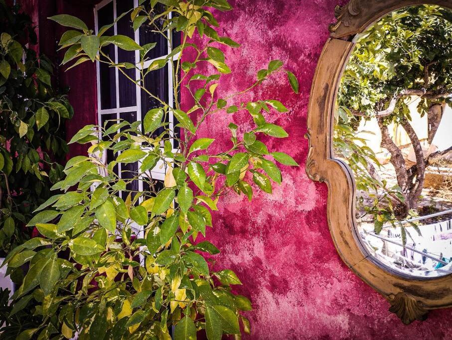 Ferienhaus פלא - Quiet Place 3 Km From Caesarea *
