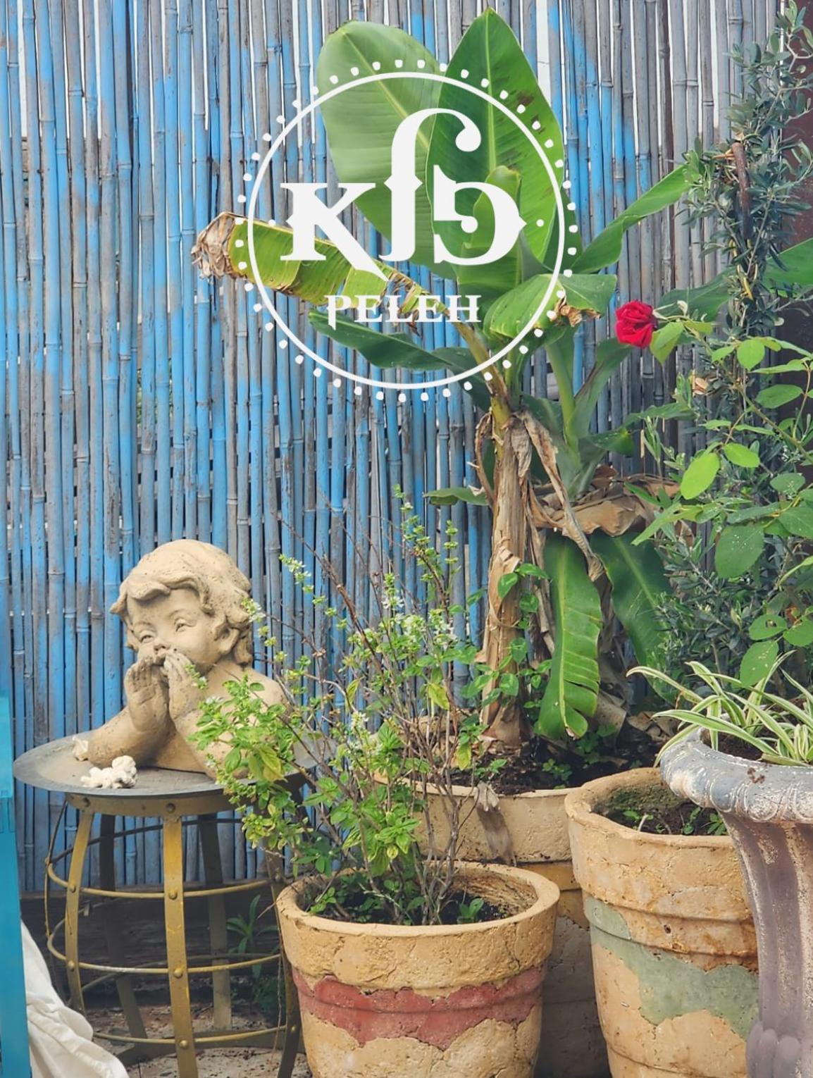 Ferienhaus פלא - Quiet Place 3 Km From Caesarea *