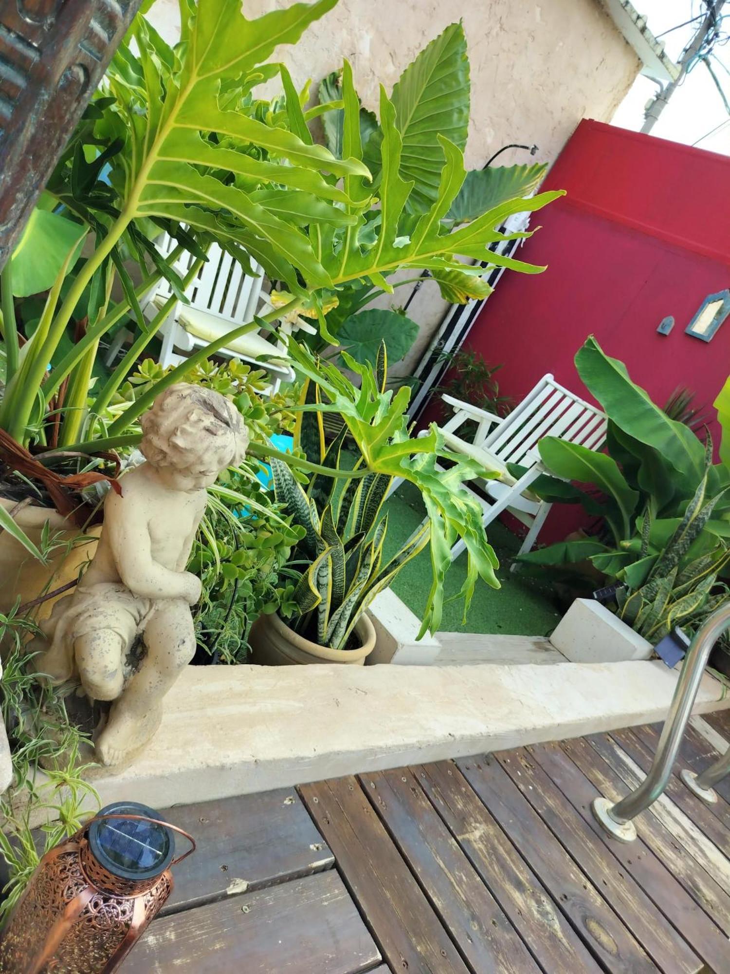 Ferienhaus פלא - Quiet Place 3 Km From Caesarea Or Akiva