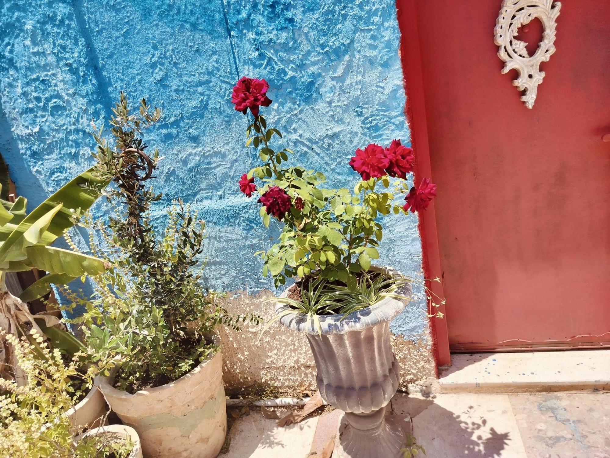 פלא - Quiet Place 3 Km From Caesarea * Or Akiva