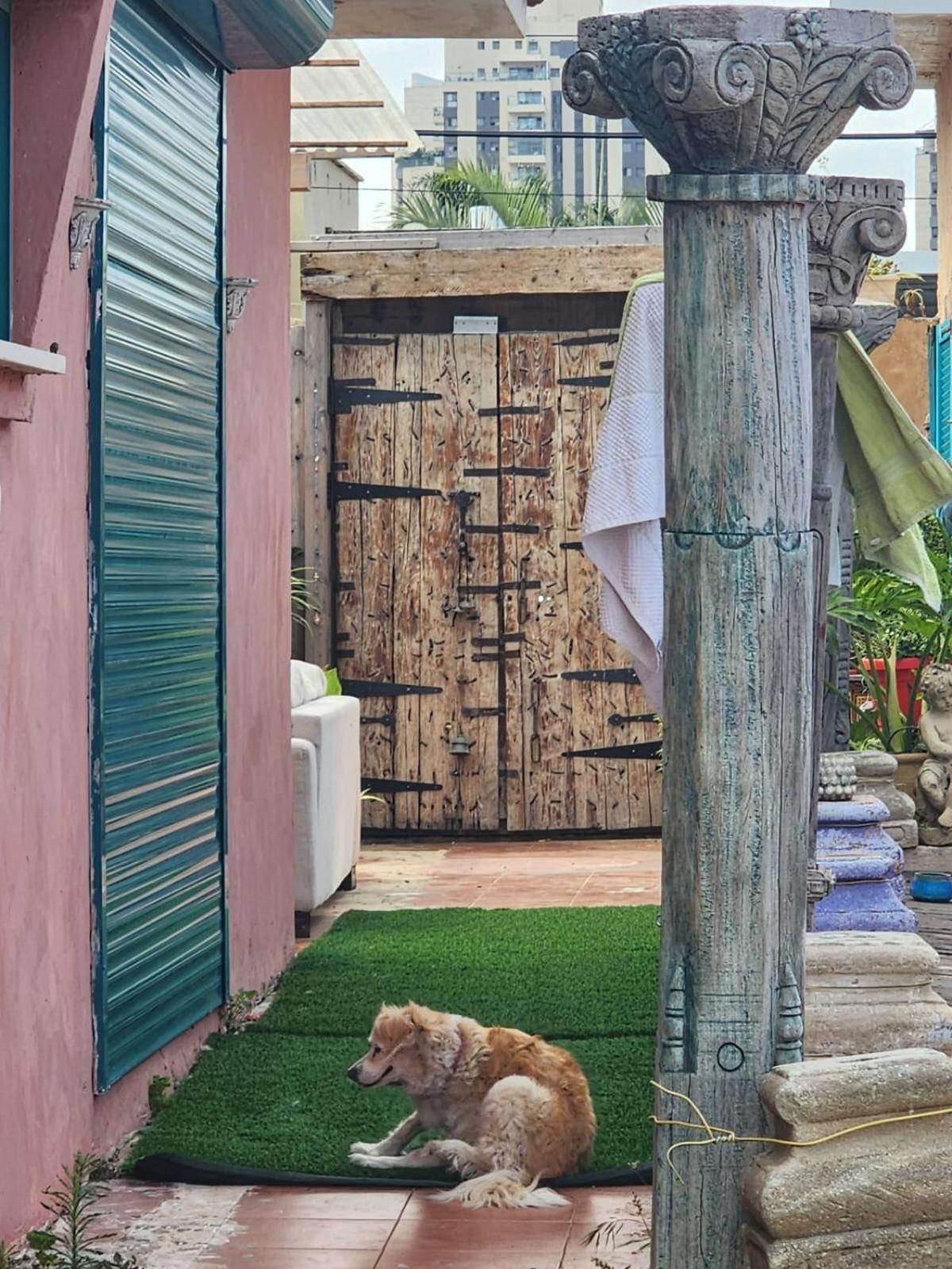 פלא - Quiet Place 3 Km From Caesarea Ferienhaus Or Akiva